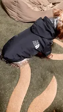 Reflective Clothing Coat Jacket Puppy Dog-Face-Hoodie Dogs Small Waterproof Winter Medium