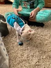 4 unids/set zapatos para perros pequeños perros mediano invierno de algodón Anti-slip dibujos animados zapatos calcetines Chihuahua antideslizante invertida de la cubierta del zapato