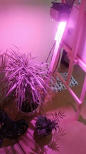Led-Cob-Chip Flower-Growth-Lighting Indoor-Plant Full-Spectrum 220V Seedling 110V 