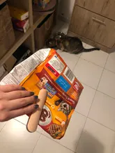 Pet-Food-Spoon Dog-Bowls Fountain Multi-Function-Bowl Dogs-Scoop Puppies/small 