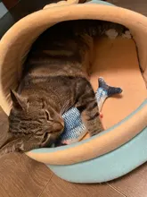 Muñeco eléctrico de peluche con forma de pez en movimiento para niños, juguete interactivo con carga USB para mascotas