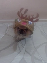 Halloween-Costume Christmas-Dog Hoodies Dogs-Coat Small Chihuahua Winter for Cat