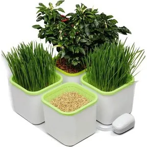 

Germinator health treasure 4х-модульный (x4)