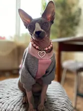Pet-Collar-Accessories Necklace Pendants Jewelry Rhinestone Imitation-Pearl Small Dogs