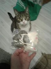 False-Mouse Simulation-Mice Noise-Playing-Toys Rabbit-Fur Kitten For Cats Pet-Supplies