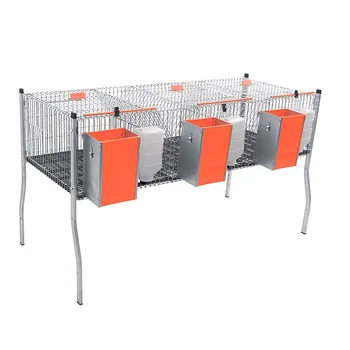 

Gomez and Crespo. AURIA 3 rabbit cage with 1 floor and 3 departments. Drinking bottle to choose from