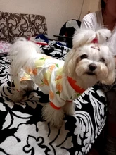 Pyjama Clothing Dog-Puppy-Jumpsuit Sleepingwear Warm Dogs Yorkshir-35 for Small Cat Medium