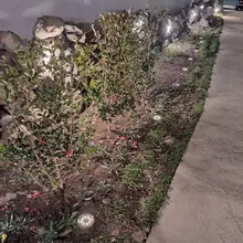 Garden-Lights Outdoor-Lighting Driveway Lawn Solar-Energy Yard Waterproof LED 10pcs