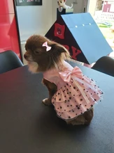 Cat Dress Shirt Summer Pet-Puppy Spring Small Dog Stars-Design Bow 2-Colours Apparel