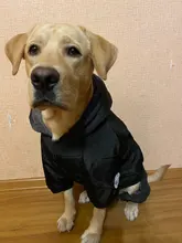 Dog-Coat Winter HOOPET for Dogs Clothing Warm Christmas Big