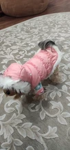 Dog Cat Winter Warm Coat Jacket Dress Pet Puppy Hoodie Winter Warm Clothes Apperal