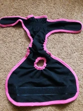 Pet-Physiological-Pants Underwear Diapers Dog Washable Female Short Puppy for Small Doggie