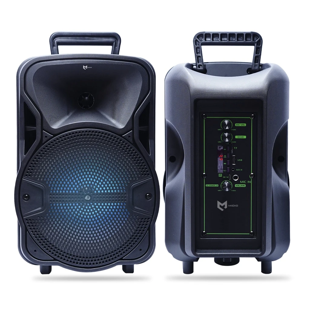 Caixa De Som Bluetooth Karaokê 30w P2 P1 Com Microfone Rádio USB C/ Controle