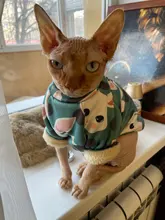 Cartoon Cat Hoodie Sweater Autumn Winter Pet Cat Clothes for Cats Katten Kedi Pullovers