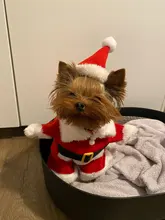 Christmas Pet Dog Cat Costumes Funny Santa Claus Costume For Dogs Cats Winter Warm Dog