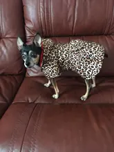Abrigo con tutú y estampado de leopardo para perros y cachorros ropa de invierno con capucha, chaqueta reversible para perros pequeños