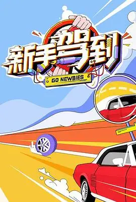 新手驾到的海报