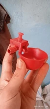Husbandry-Tools Feeder Bird Quail-Waterer Chicken Automatic Bowls Drinking-Cups Glass