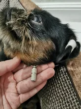 Bonitos juguetes de perro interactivo pelota para perro mascota gato de juguete con campana pequeña Arco Iris perros etiqueta de dirección collar accesorios #1227