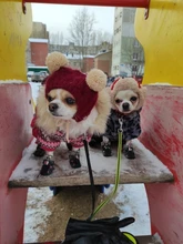 Puppy-Boots Pet-Shoes Lovely Dogs Snow Anti-Slip Zipper Winter Warm Denim Lets Casual