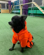 Jumpsuit Clothing Hoodies Jacket Pet-Dog-Coats Small Dogs Sport Apparel Winter Fashion