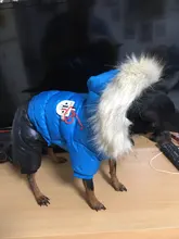 Jacket Jumpsuit Coat Puppy Waterproof Winter PET Warm PETASIA for Chihuahuas Small Large