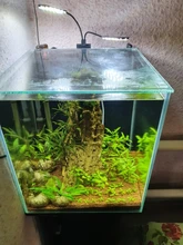 Aquarium-Lights Lamp Aquatic-Freshwater-Lamps Fish-Tanks Led-Plants Waterproof Clip-On