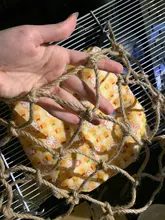 Hammock Toy Cage Hamster Sugar Glider Tunnel Hanging Climbing Playing-Supply Parrot Small