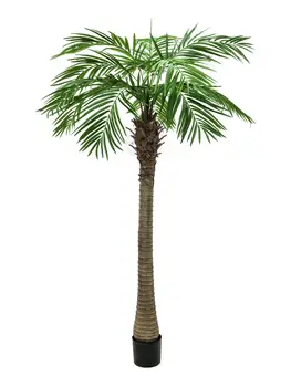 

EUROPALMS Phoenix palm tree luxor, artificial plant, 150cm