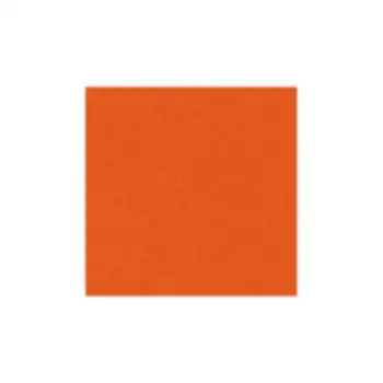 

Cardboard A4 color ArancioneCANSON INFINITY4.02