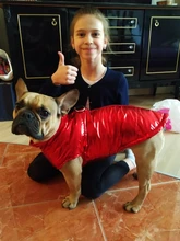 Coat Jacket Vest Bulldog-Clothing Puppy Dogs-Chihuahua French Waterproof Large Winter