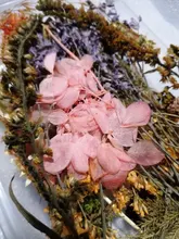 1 caja de hojas de flores prensadas reales, resina de margaritas secas, calcomanías de belleza para uñas, moldes de epoxi, embellecedores para fabricación de joyas