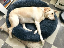 Saco de dormir en invierno para mascotas, caseta de lecho de gatos y perros supersuave, saco de dormir largo y afelpado para cachorros, esterilla portátil, tamaño de 46/50/60cm