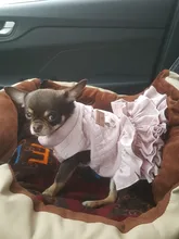 Warm Pet Dog Dress Vest Jacket For Dogs Cats Winter Chihuahua Yorkies Clothes Maltese