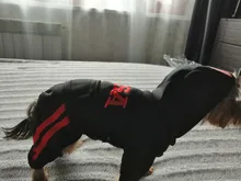 Jumpsuit Clothing Hoodies Jacket Pet-Dog-Coats Small Dogs Sport Apparel Winter Fashion