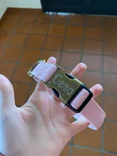 Dog-Collar Engraved Dogs Cat-Name Adjustable Custom Personalized Pet-Puppy Nylon Pug