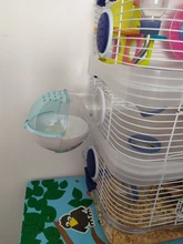 Cage-Box Toilet-Hamster Acrylic-House Sand-Room Bath Mouse-Gerbille Small Pet-Supplies