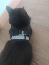 Arnés y correa reflectantes para gato, ropa transpirable a prueba de Escape para mascotas, chaleco ajustable de fácil Control