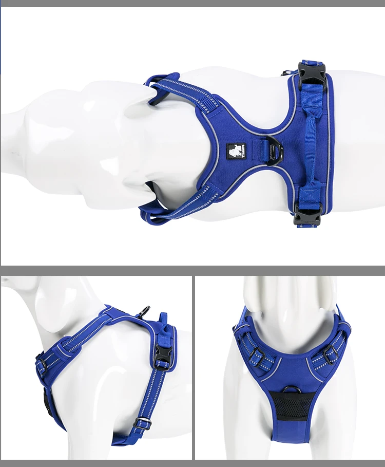 TLH5651-Royal blue (2)