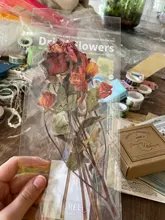 Pet-Sticker Package Scrapbooking Flowers Journal-Decoration Bullet Eucalyptus-Leaves