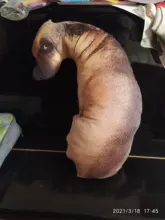 Almohada con estampado de perro en 3D, bonita cabeza de perro, Animal realista, divertida cabeza de perro, Cosplay, cojín de juguete favorito para niños para el hogar