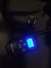 Dog-Training-Collar Shock Electronic Vibration Remote 998DBB-1 Ipets Rechargeable And