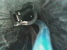 Cámara endoscópica AN100, 3,9 MM/8MM/5,5 MM, HD, 3 en 1, TYPE-C, USB, Android, endoscopia, 6 LED, IP67, impermeable, boroscopio, Cable rígido