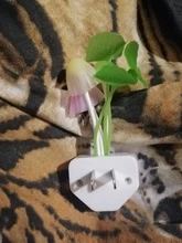 Luminaria-Lamp Mushroom Night-Light Us-Plug LED Induction-Dream Novelty Fungus 220V EU