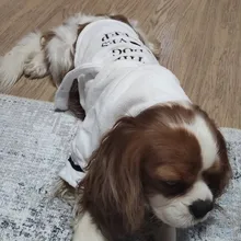 Bathrob Pet-Accessories Drying-Towel Dogs Puppy Soft Cat for Dog-Pajamas Indoor