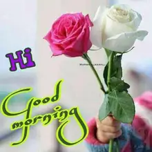 Micro aguja rodillo de Micro-agujas Dermaroller de pelo de titanio crecimiento de la barba tratamiento antipérdida de cabello adelgazamiento del cabello retroceso