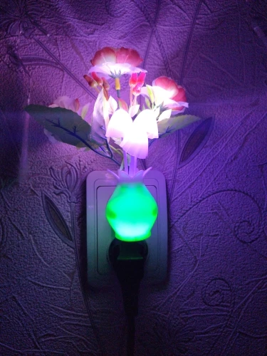 LED Night Light Mushroom Wall Lamp photo review