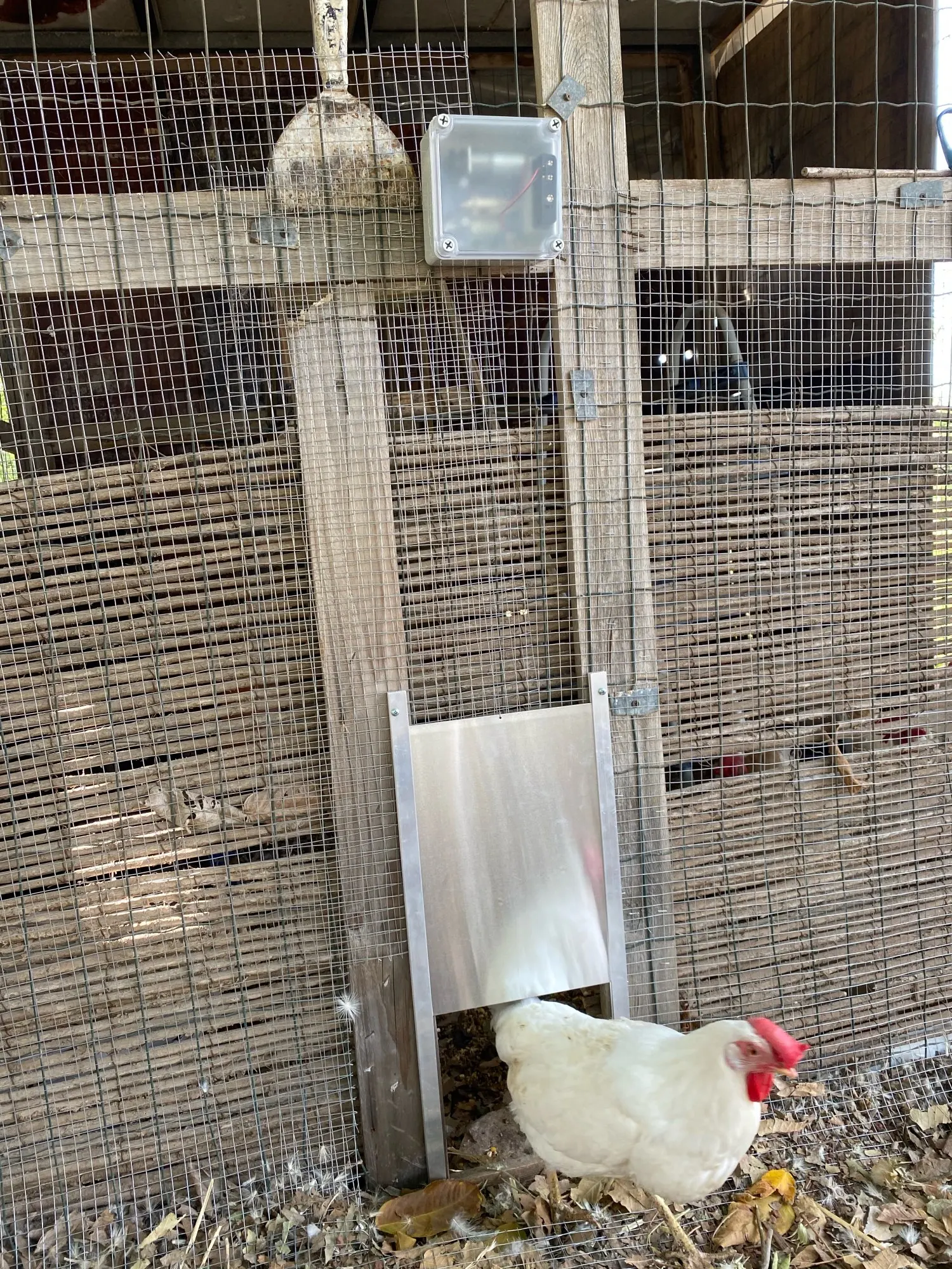 Ouvre porte automatique de poulailler, accessoires de ferme de 