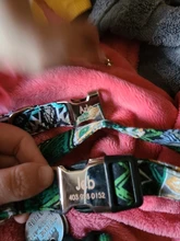 Collar de nailon para perro, personalizado con placa de etiqueta de identificación grabada para mascota, reflectante, perros pequeños, medianos y grandes