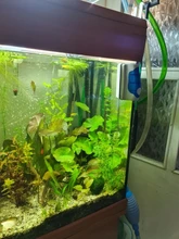 Magnetic-Brush Cleaner Scraper Fish-Aquarium-Tools Glass-Algae Fish-Tank